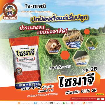 Artboard 1AW ไซมาจี ปี68 Web